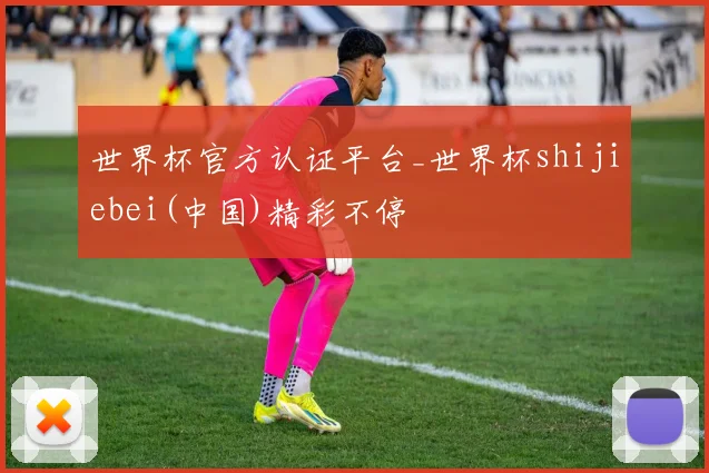 世界杯官方认证平台_世界杯shijiebei(中国)精彩不停