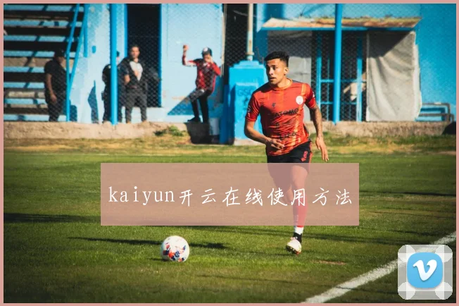 kaiyun开云在线使用方法