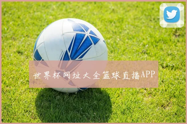 世界杯网址大全篮球直播APP