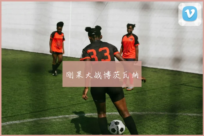 刚果大战博茨瓦纳