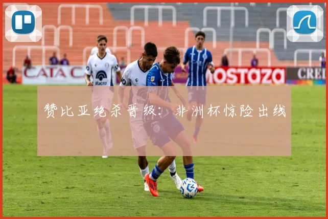 赞比亚绝杀晋级：非洲杯惊险出线