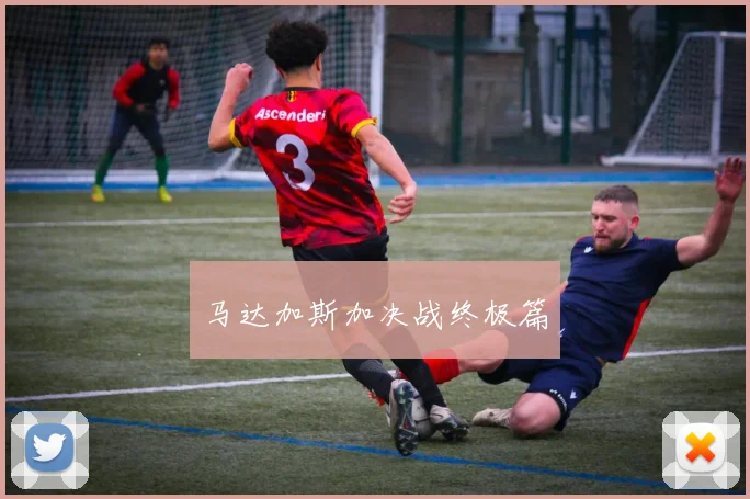 马达加斯加决战终极篇