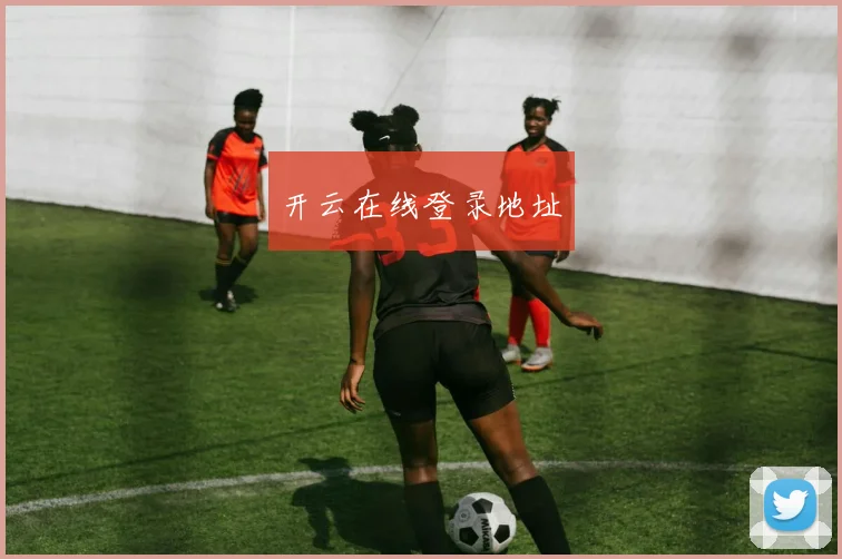 开云在线登录地址