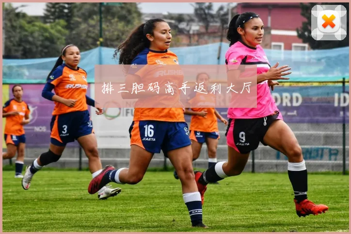 排三胆码高手返利大厅