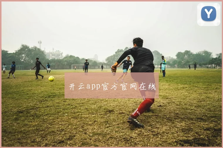 开云app官方官网在线
