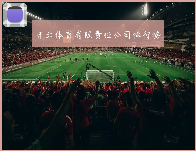 开云体育有限责任公司排行榜
