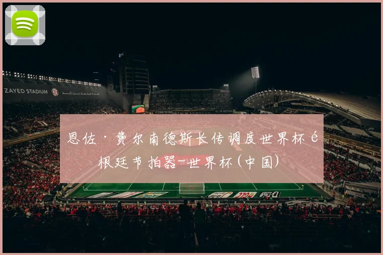 恩佐·费尔南德斯长传调度世界杯阿根廷节拍器-世界杯(中国)