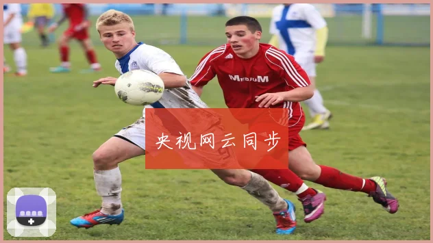 央视网云同步