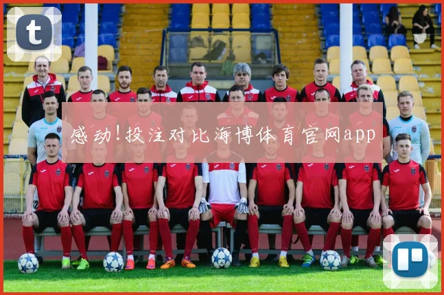 感动!投注对比海博体育官网app