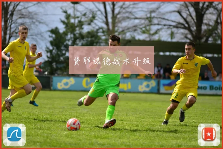 费耶诺德战术升级