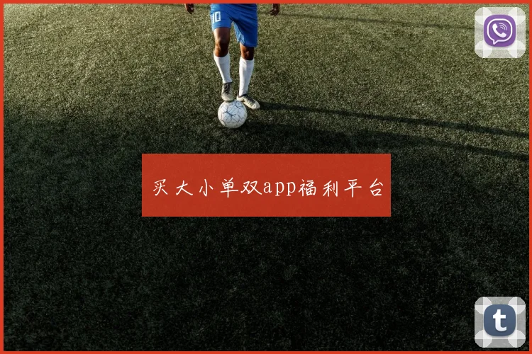 买大小单双app福利平台