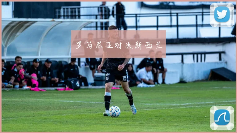 罗马尼亚对决新西兰