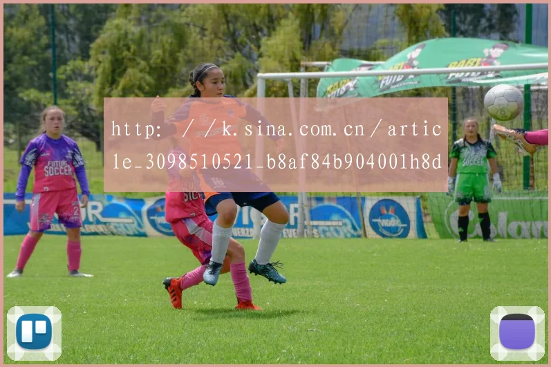 http://k.sina.com.cn/article_3098510521_b8af84b904001h8di.html