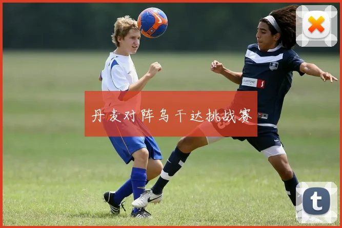 丹麦对阵乌干达挑战赛