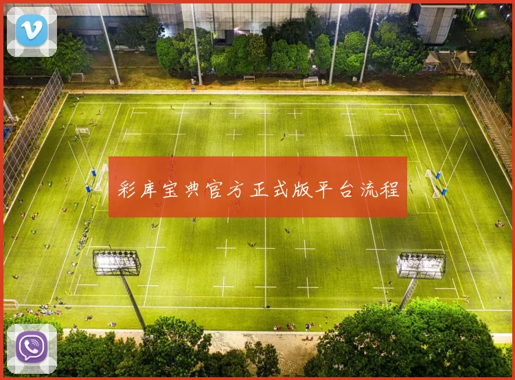 彩库宝典官方正式版平台流程
