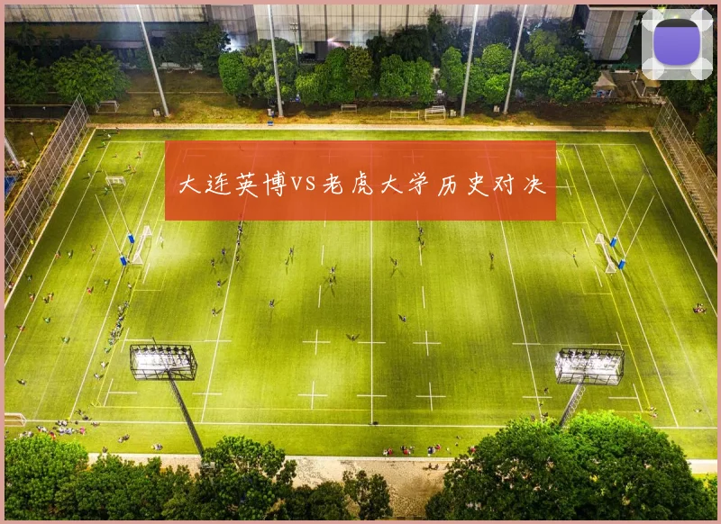 大连英博vs老虎大学历史对决