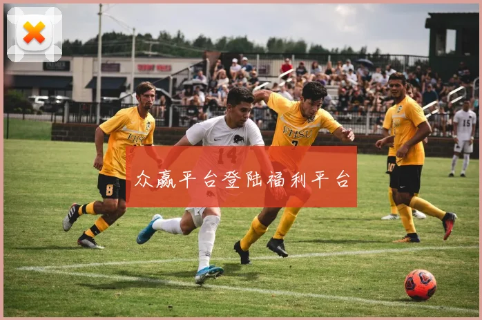 众赢平台登陆福利平台