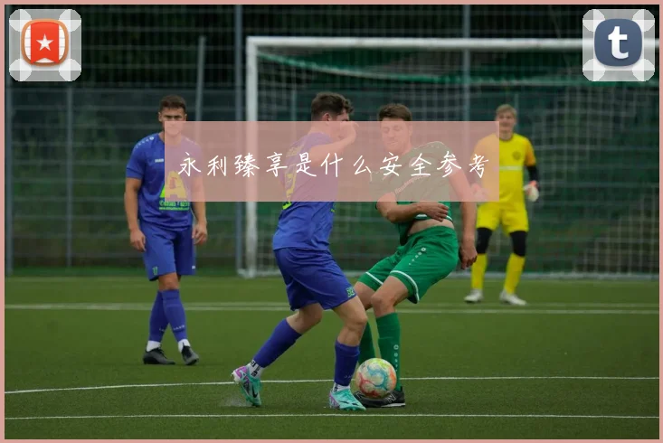 永利臻享是什么安全参考