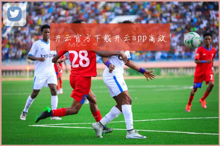 开云官方下载开云app高效