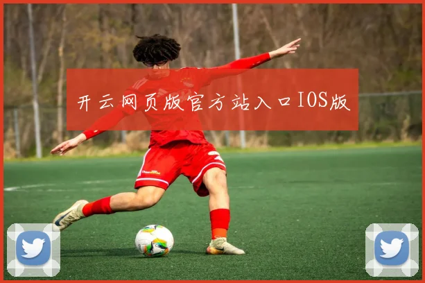 开云网页版官方站入口IOS版