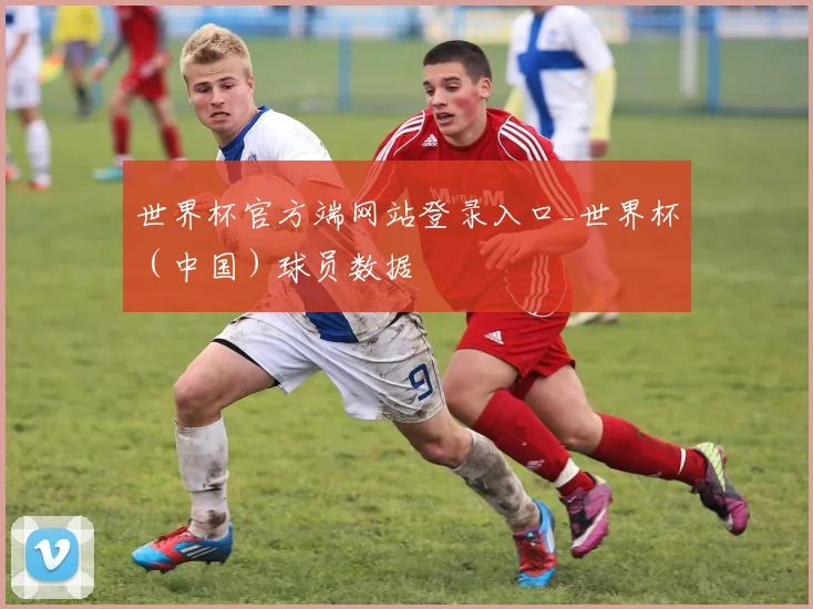 世界杯官方端网站登录入口_世界杯（中国）球员数据
