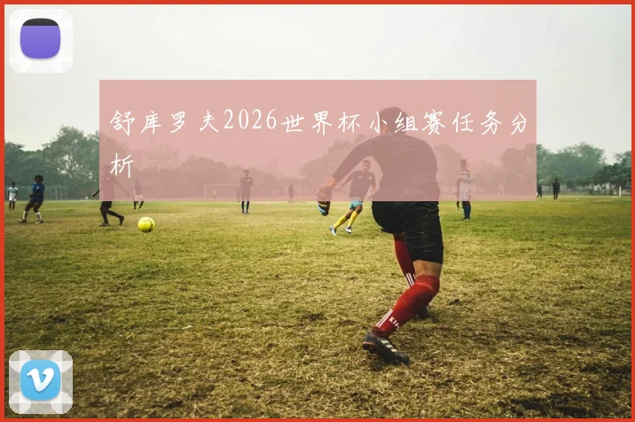 舒库罗夫2026世界杯小组赛任务分析