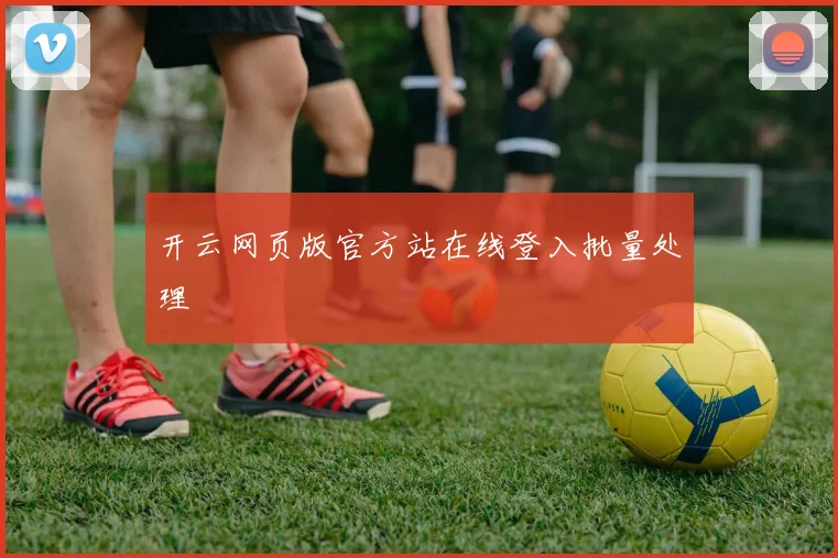 开云网页版官方站在线登入批量处理