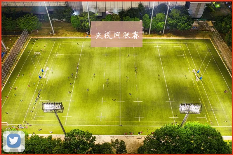 央视网联赛