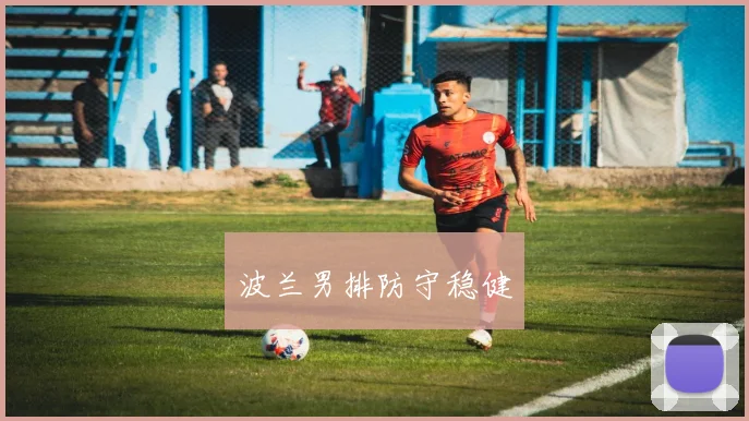 波兰男排防守稳健