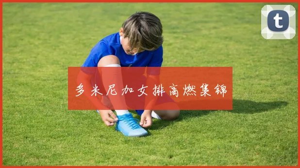 多米尼加女排高燃集锦