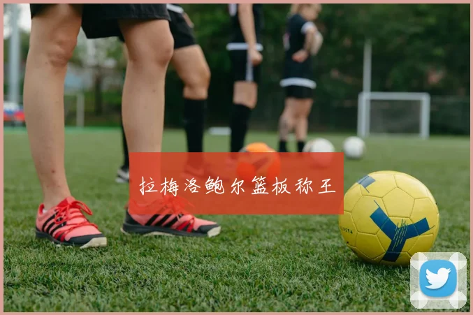 拉梅洛鲍尔篮板称王