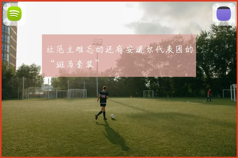 让范主难忘的还有安道尔代表团的“斑马套装”