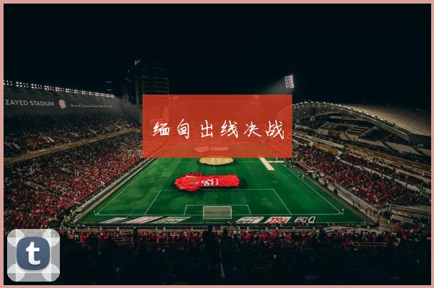 缅甸出线决战