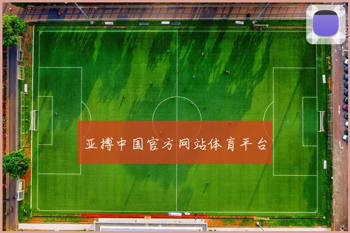 亚搏中国官方网站体育平台
