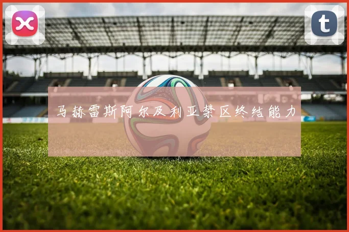 马赫雷斯阿尔及利亚禁区终结能力