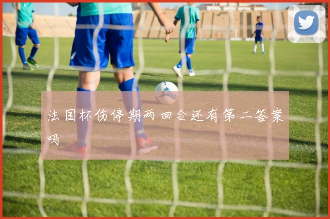 法国杯伤停期两回合还有第二答案吗
