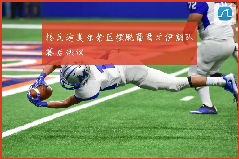 格瓦迪奥尔禁区摆脱葡萄牙伊朗队赛后热议