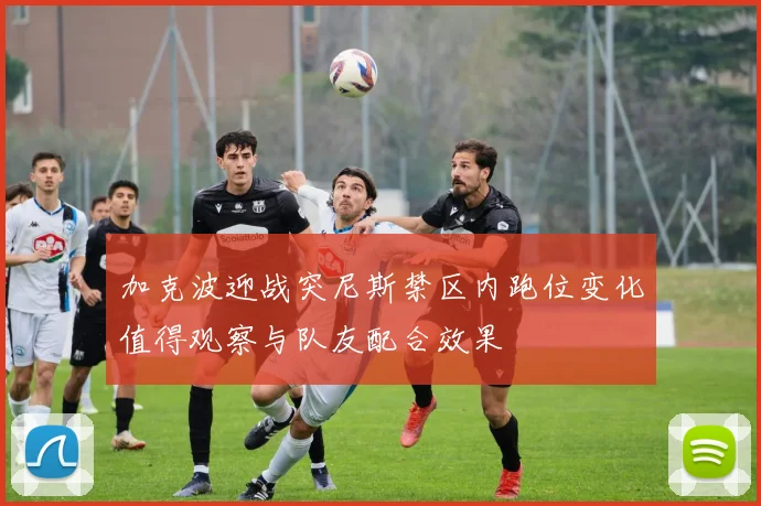 加克波迎战突尼斯禁区内跑位变化值得观察与队友配合效果